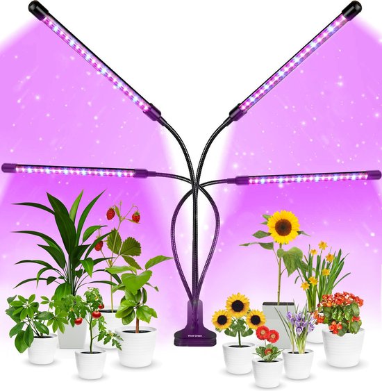 Kweeklamp